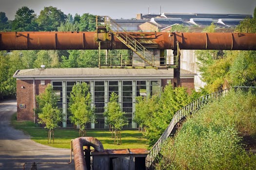 Revitalize Your Home: The Comprehensive Guide to Sash Window Restoration